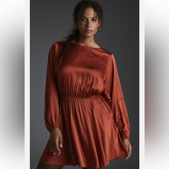 New With Tags Anthropologie Caballero Long-Sleeve Satin Animal Print Mini Dress - Picture 4 of 8